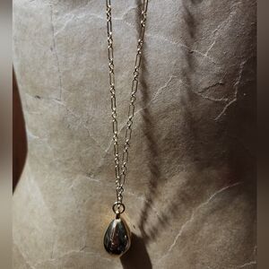 Stunning Teardrop Long Pendant Necklace
